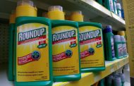 Monsanto found responsible for cancer case by US court