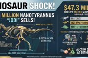 $47.3 Million Dinosaur Shock: Rare Nanotyrannus “Jodi” Becomes the World’s Second-Most-Expensive Dinosaur Fossil